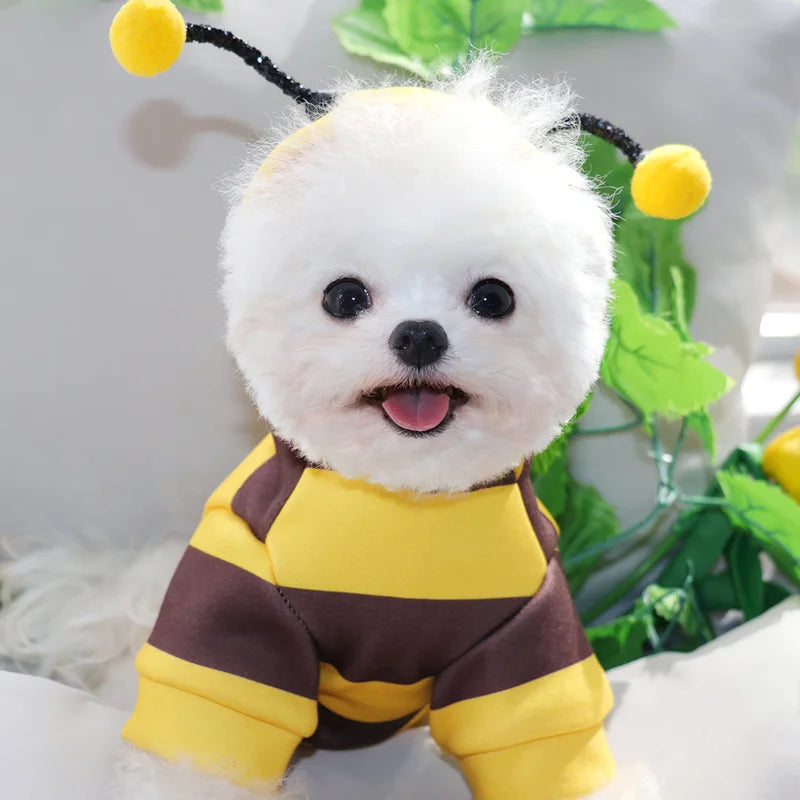 Buzzing Bumble Bee Costume
