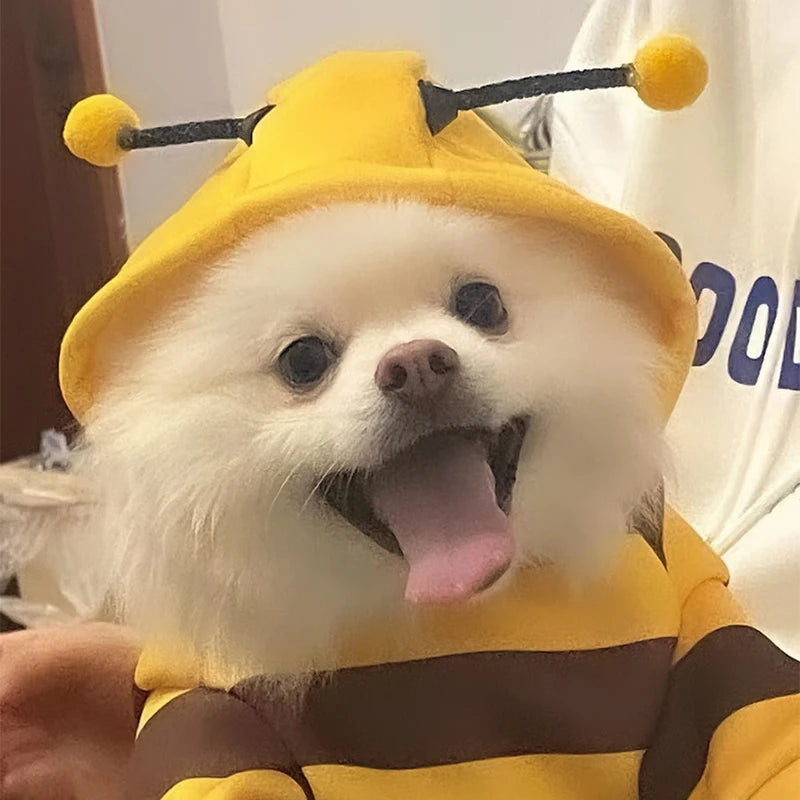 Yellow Bumble Bee Pet Puppy Coat Apparel Outfit Fleece Clothes Dog Cat Hoodie Fancy Costume Halloween Cosplay Sweater Dog Hoodies